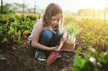 Little girl planting in a garden