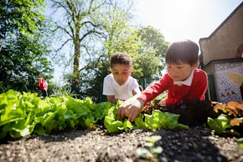 Primary school children in the schools garden planting